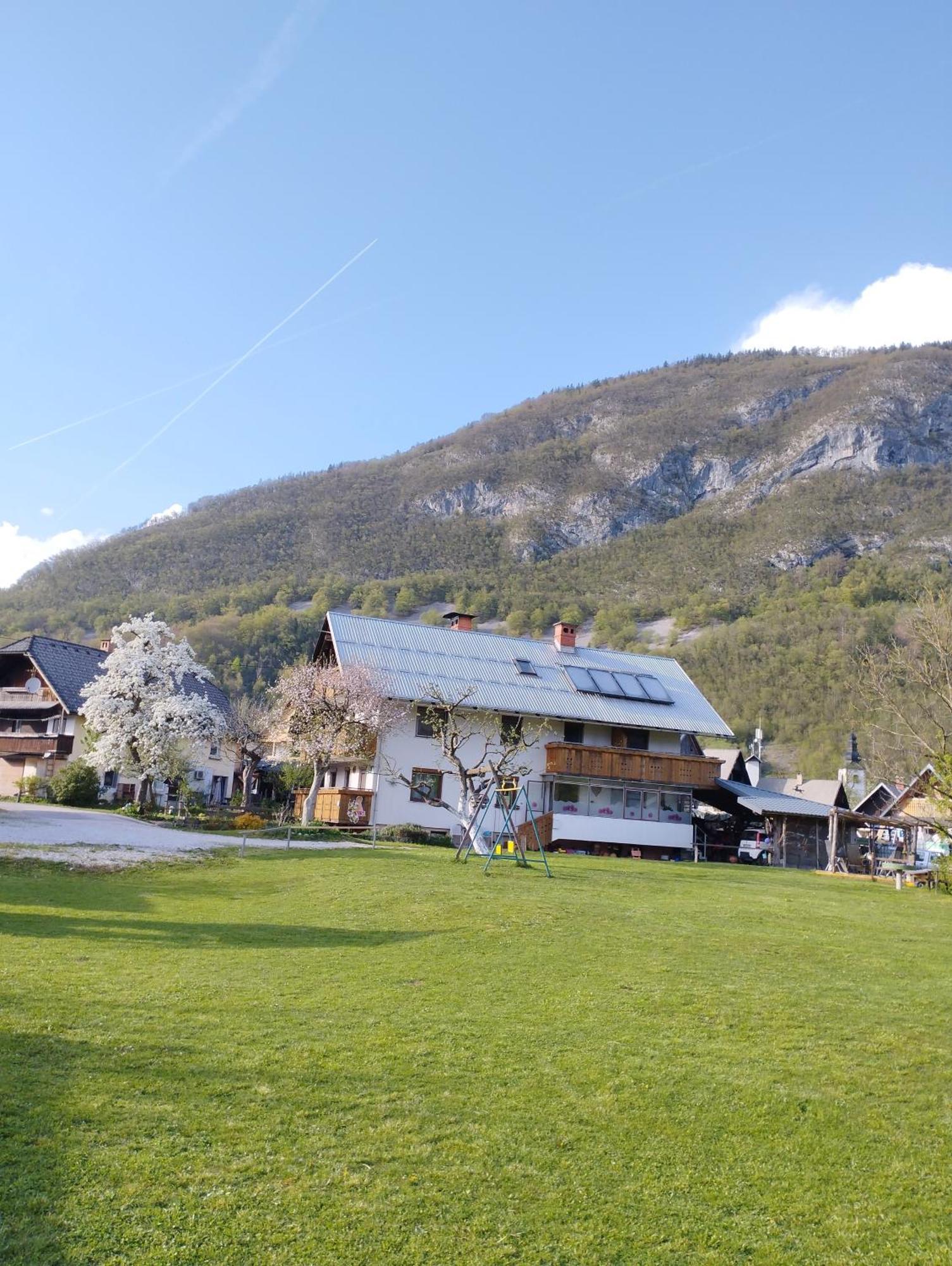 Apartmaji Verica Ceklin Bohinj Eksteriør bilde